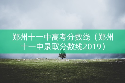 郑州十一中高考分数线（郑州十一中录取分数线2019）