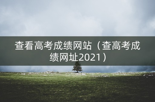 查看高考成绩网站（查高考成绩网址2021）