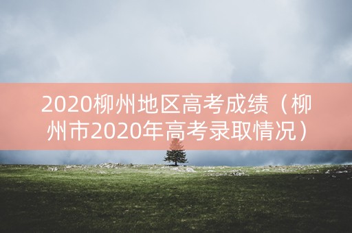 2020柳州地区高考成绩（柳州市2020年高考录取情况）