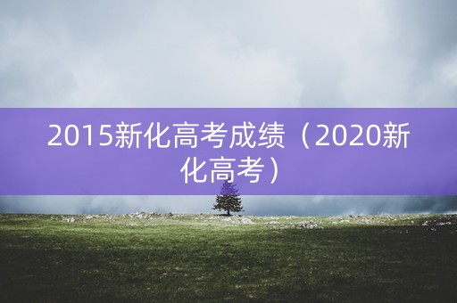 2015新化高考成绩（2020新化高考）