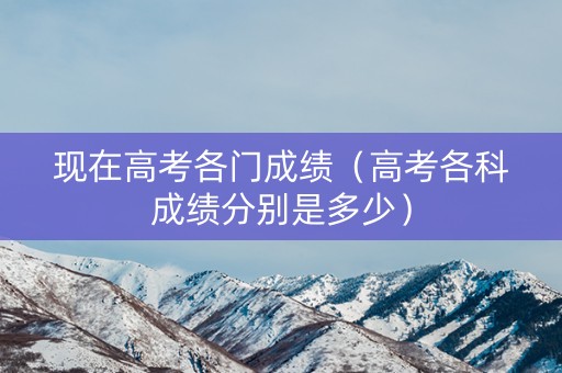 现在高考各门成绩（高考各科成绩分别是多少）