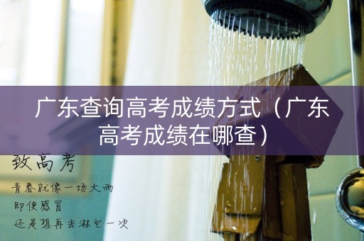 广东查询高考成绩方式（广东高考成绩在哪查）