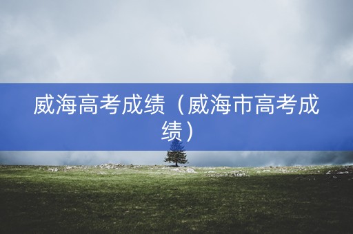 威海高考成绩（威海市高考成绩）