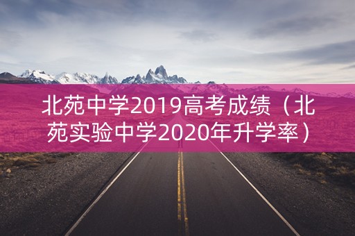 北苑中学2019高考成绩（北苑实验中学2020年升学率）