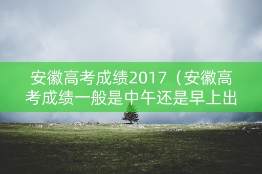 安徽高考成绩2017（安徽高考成绩一般是中午还是早上出）