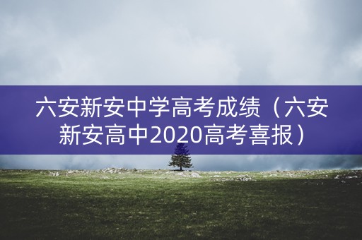 六安新安中学高考成绩（六安新安高中2020高考喜报）