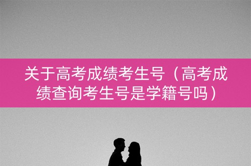 关于高考成绩考生号（高考成绩查询考生号是学籍号吗）