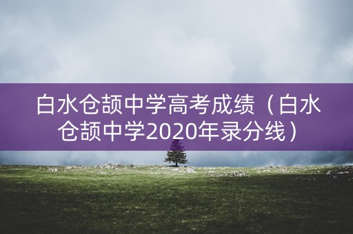 白水仓颉中学高考成绩（白水仓颉中学2020年录分线）