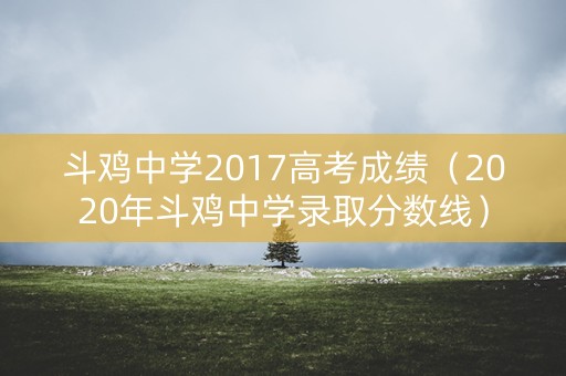 斗鸡中学2017高考成绩（2020年斗鸡中学录取分数线）