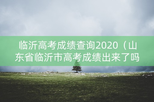 临沂高考成绩查询2020（山东省临沂市高考成绩出来了吗）
