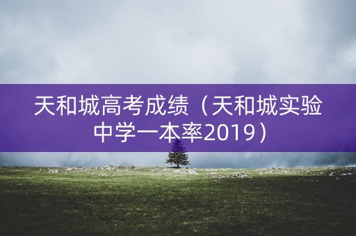 天和城高考成绩（天和城实验中学一本率2019）