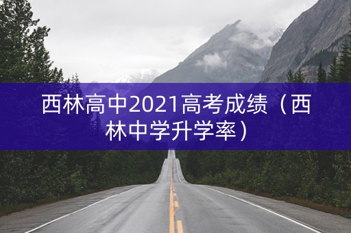 西林高中2021高考成绩（西林中学升学率）