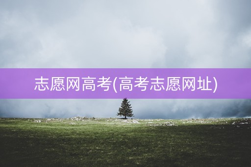 志愿网高考(高考志愿网址)