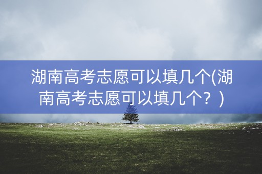 湖南高考志愿可以填几个(湖南高考志愿可以填几个？)