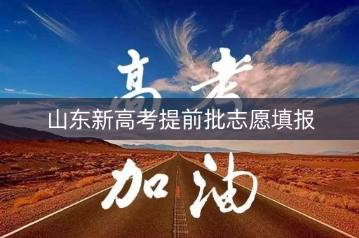 山东新高考提前批志愿填报