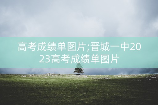 高考成绩单图片;晋城一中2023高考成绩单图片