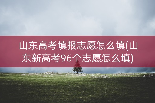 山东高考填报志愿怎么填(山东新高考96个志愿怎么填) 山东高考填报志愿怎么填(山东新高考96个志愿怎么填)