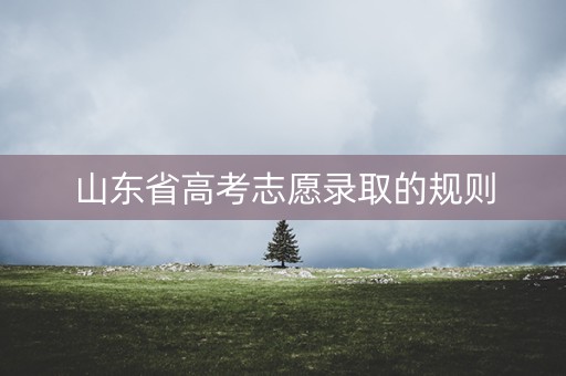 山东省高考志愿录取的规则 山东省高考志愿录取的规则