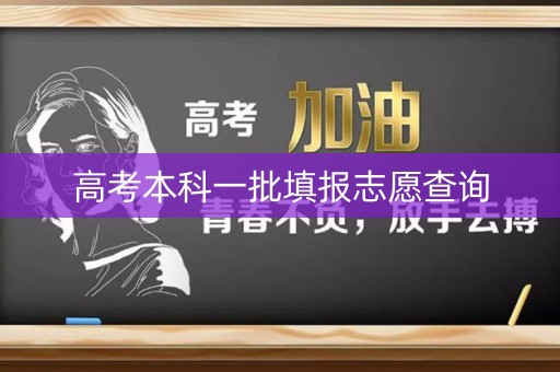 高考本科一批填报志愿查询 高考本科一批填报志愿查询