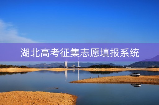 湖北高考征集志愿填报系统 湖北高考征集志愿填报系统