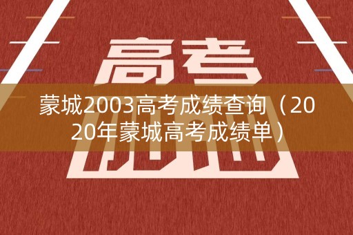蒙城2003高考成绩查询（2020年蒙城高考成绩单）