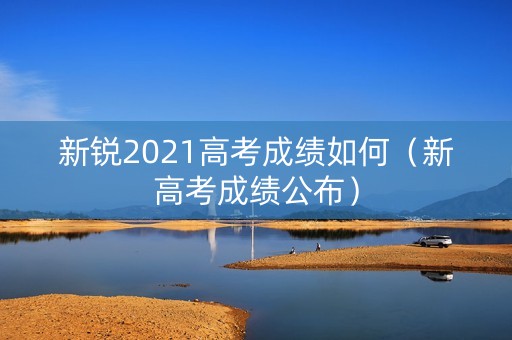 新锐2021高考成绩如何（新高考成绩公布）