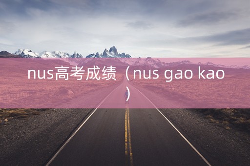 nus高考成绩（nus gao kao）