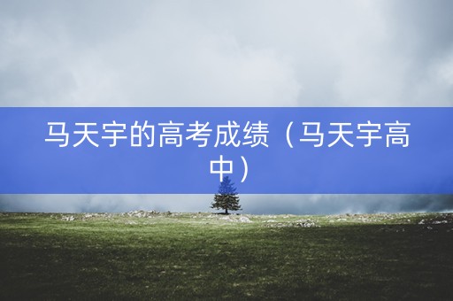马天宇的高考成绩（马天宇高中）