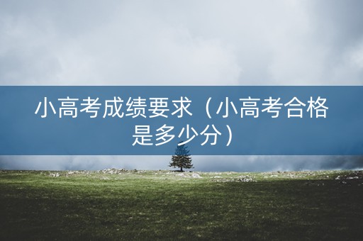 小高考成绩要求（小高考合格是多少分）