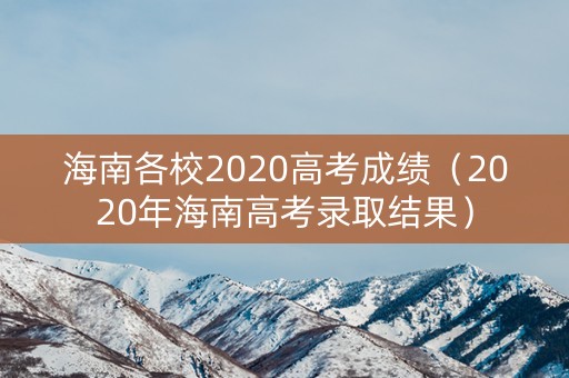 海南各校2020高考成绩（2020年海南高考录取结果）
