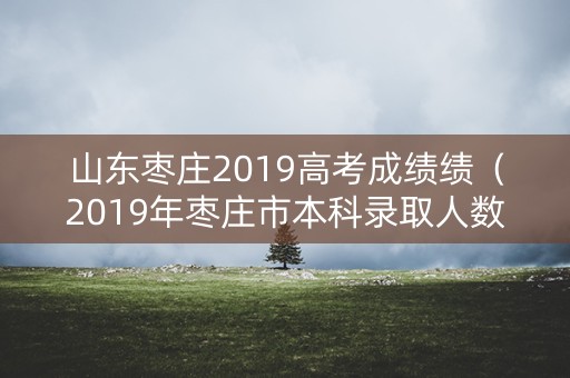 山东枣庄2019高考成绩绩（2019年枣庄市本科录取人数）