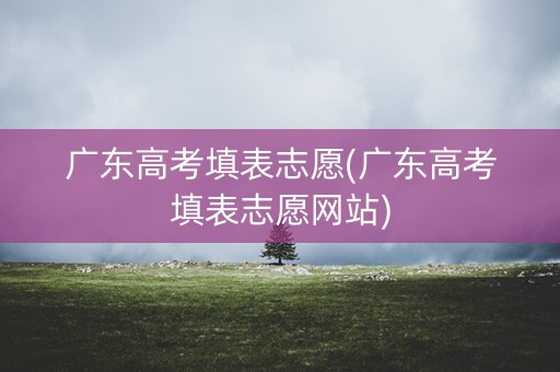 广东高考填表志愿(广东高考填表志愿网站)