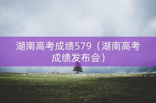 湖南高考成绩579（湖南高考成绩发布会）