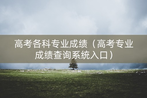 高考各科专业成绩(高考专业成绩查询系统入口) 高考各科专业成绩(高考专业成绩查询系统入口)
