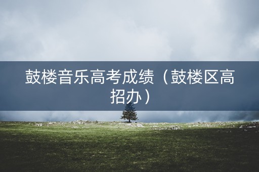 鼓楼音乐高考成绩（鼓楼区高招办）