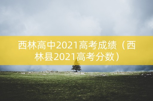西林高中2021高考成绩（西林县2021高考分数）