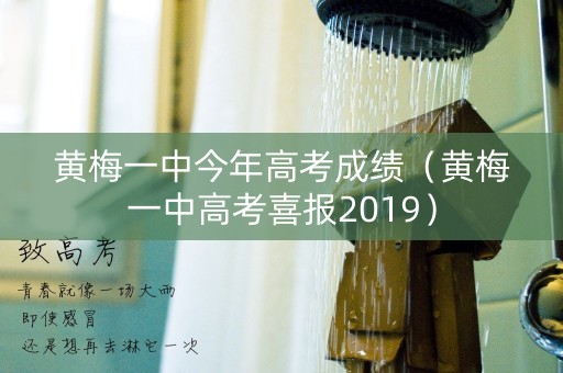 黄梅一中今年高考成绩（黄梅一中高考喜报2019）