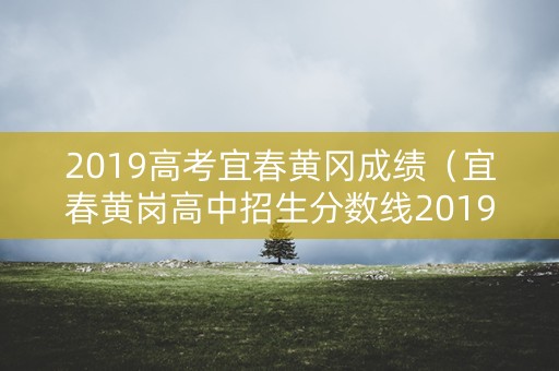 2019高考宜春黄冈成绩（宜春黄岗高中招生分数线2019）
