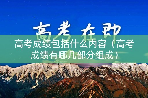 高考成绩包括什么内容（高考成绩有哪几部分组成）