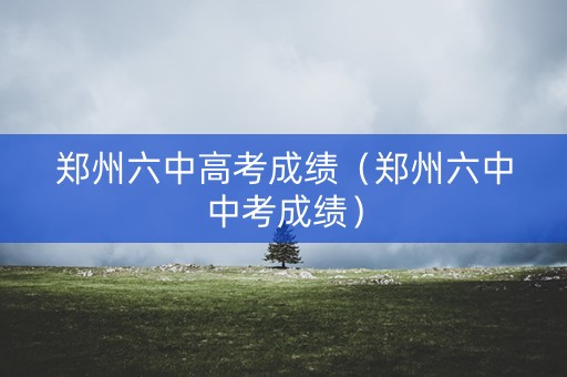郑州六中高考成绩（郑州六中中考成绩）
