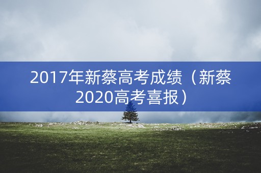 2017年新蔡高考成绩（新蔡2020高考喜报）