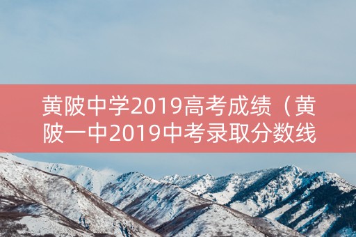 黄陂中学2019高考成绩（黄陂一中2019中考录取分数线）