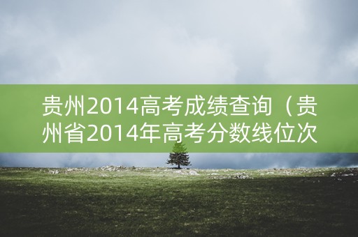 贵州2014高考成绩查询（贵州省2014年高考分数线位次）