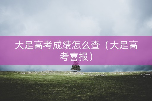 大足高考成绩怎么查(大足高考喜报) 大足高考成绩怎么查(大足高考喜报)