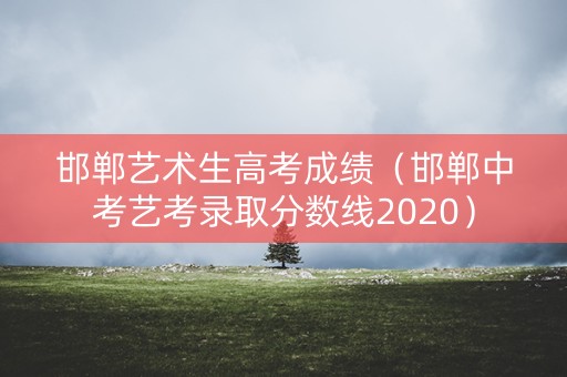 邯郸艺术生高考成绩（邯郸中考艺考录取分数线2020）