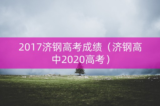2017济钢高考成绩（济钢高中2020高考）