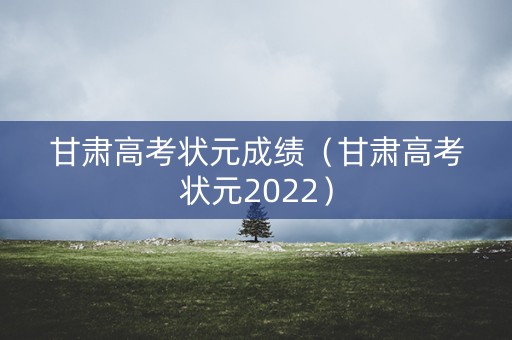 甘肃高考状元成绩（甘肃高考状元2022）