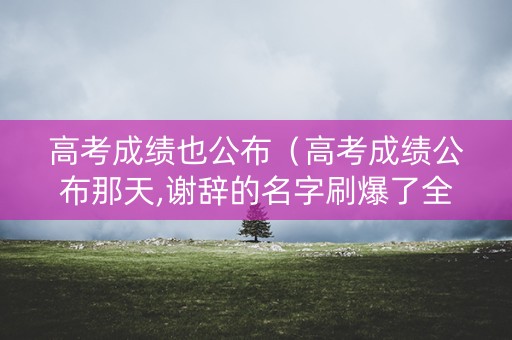 高考成绩也公布（高考成绩公布那天,谢辞的名字刷爆了全网）