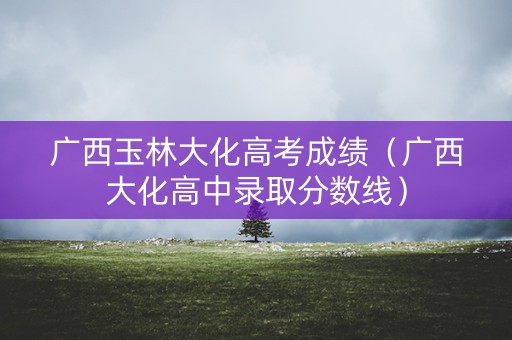 广西玉林大化高考成绩（广西大化高中录取分数线）