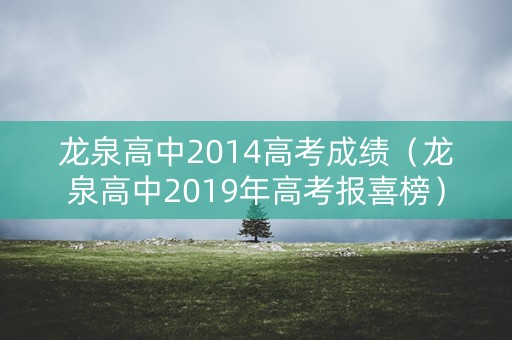 龙泉高中2014高考成绩（龙泉高中2019年高考报喜榜）